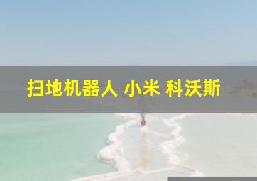 扫地机器人 小米 科沃斯